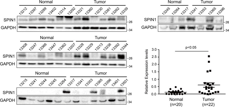 Figure 6—figure supplement 3.