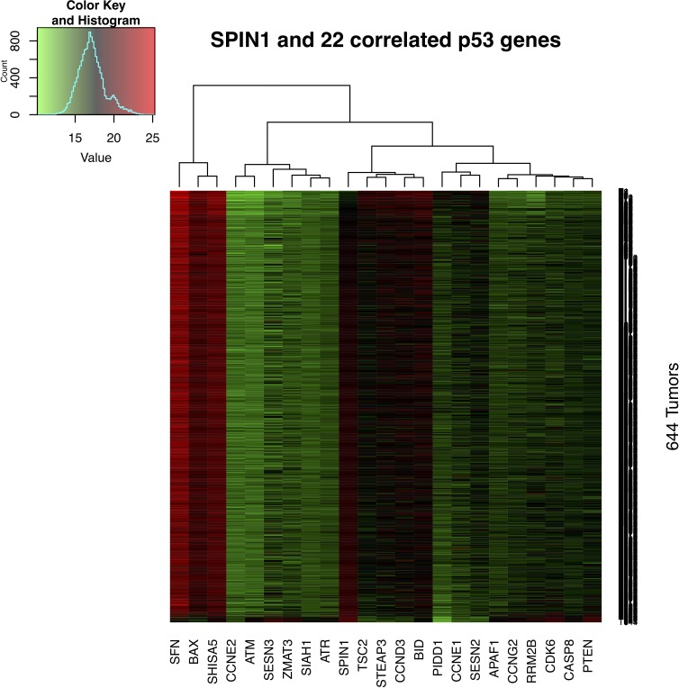 Figure 6—figure supplement 4.