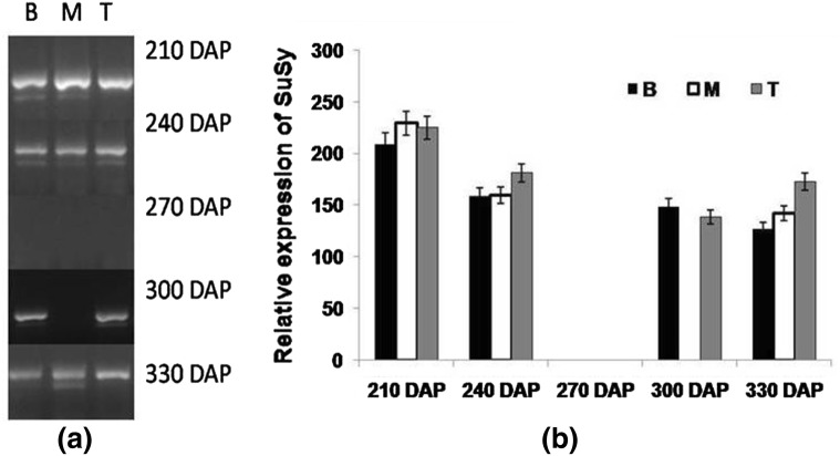 Fig. 7