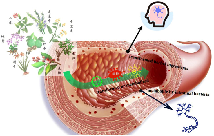 Figure 4