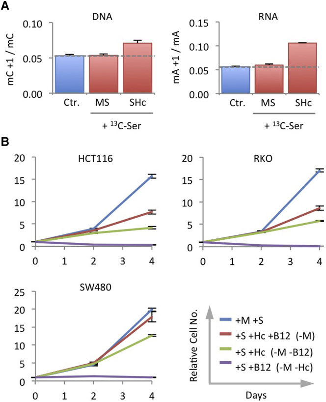 Figure 6