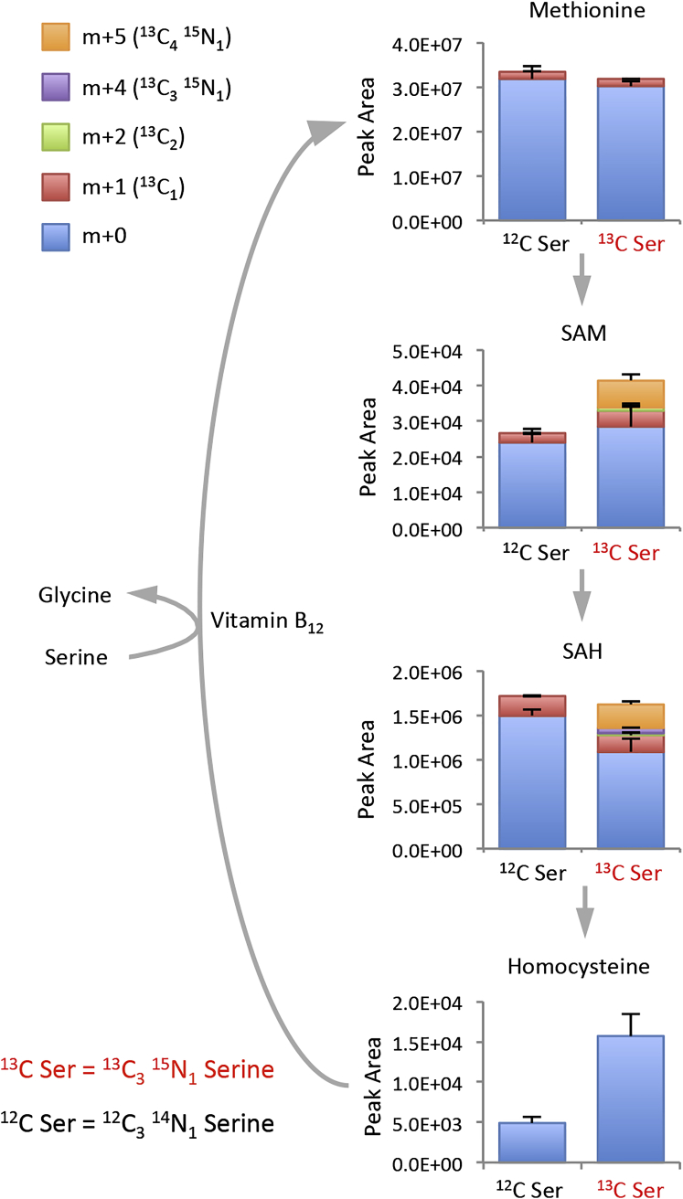 Figure 4