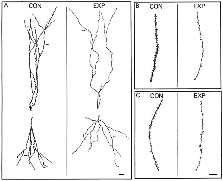 Fig. 5.