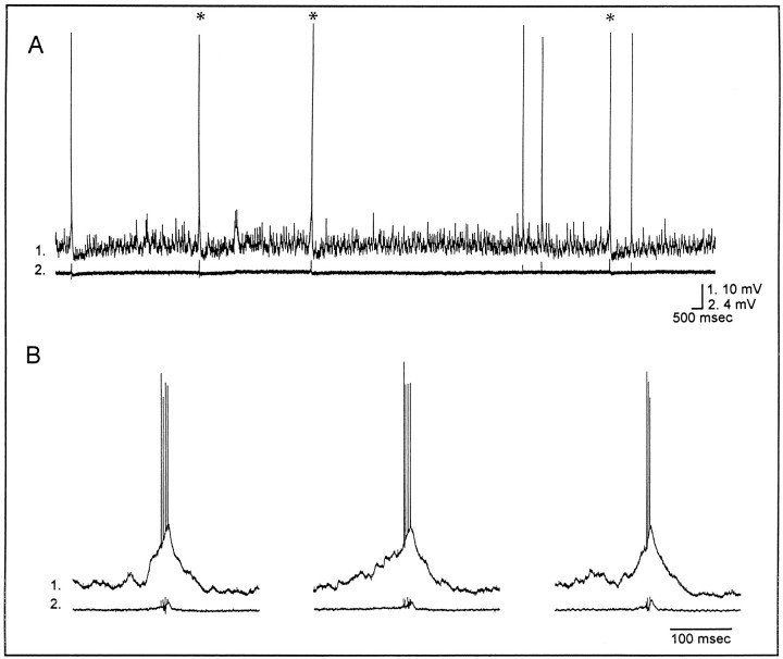 Fig. 1.