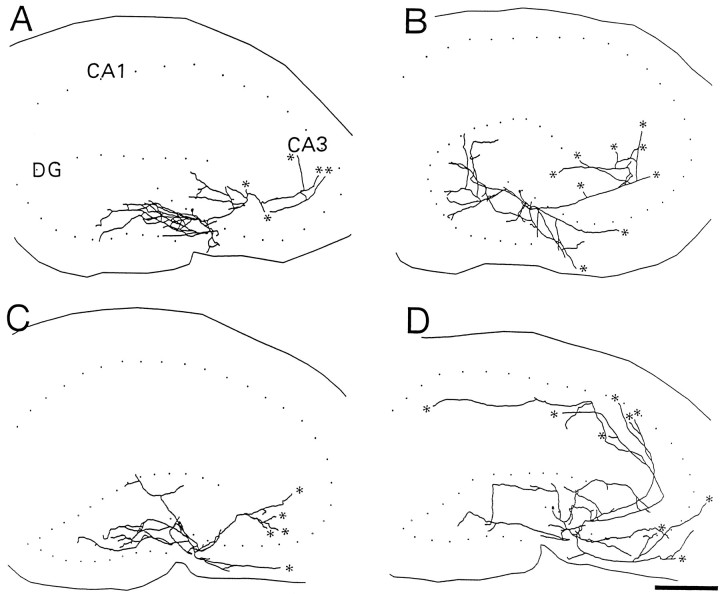 Fig. 8.