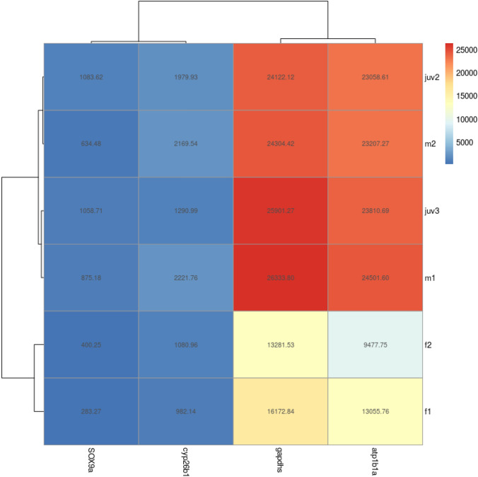 Fig. 2