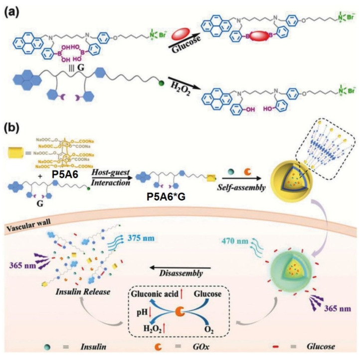 Figure 22