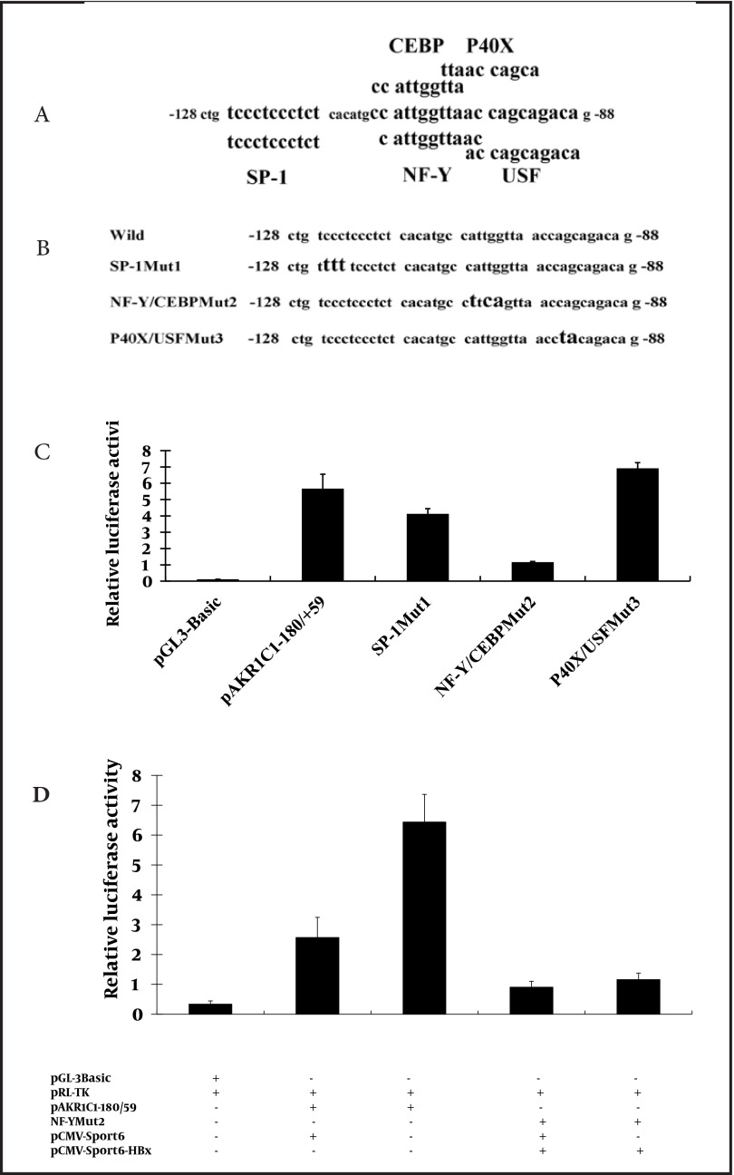 Figure 5.