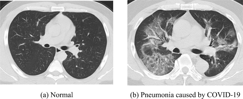 Fig. 8