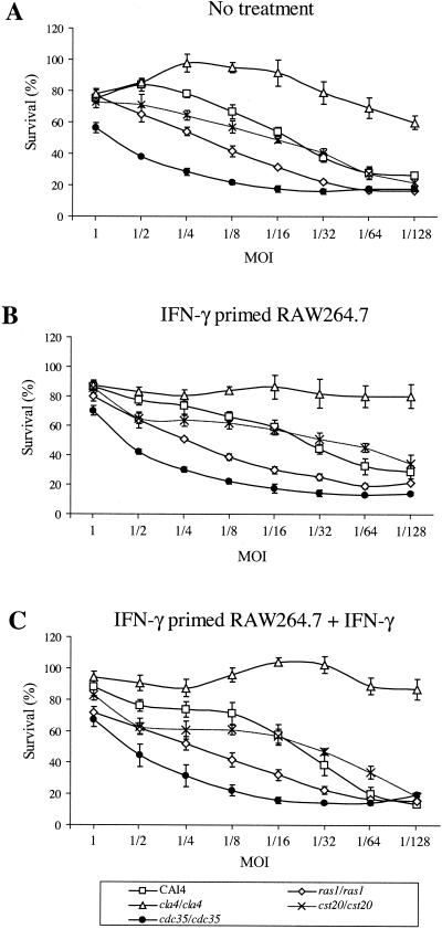 FIG. 2.