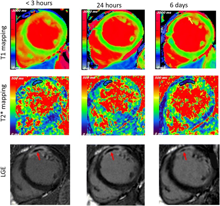 Fig. 4