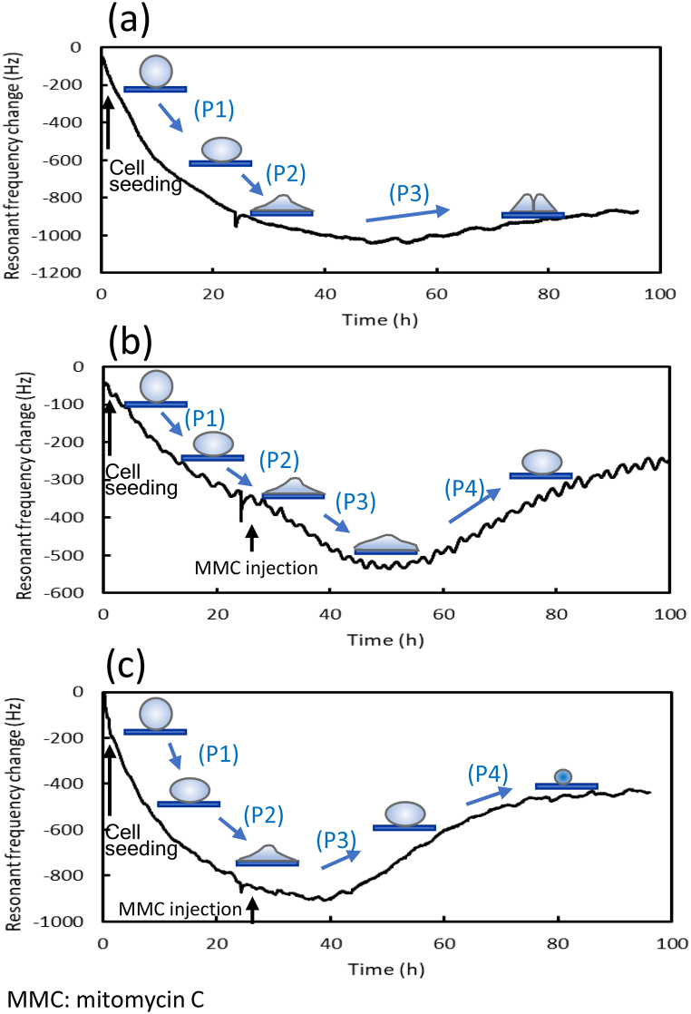 Fig. 3