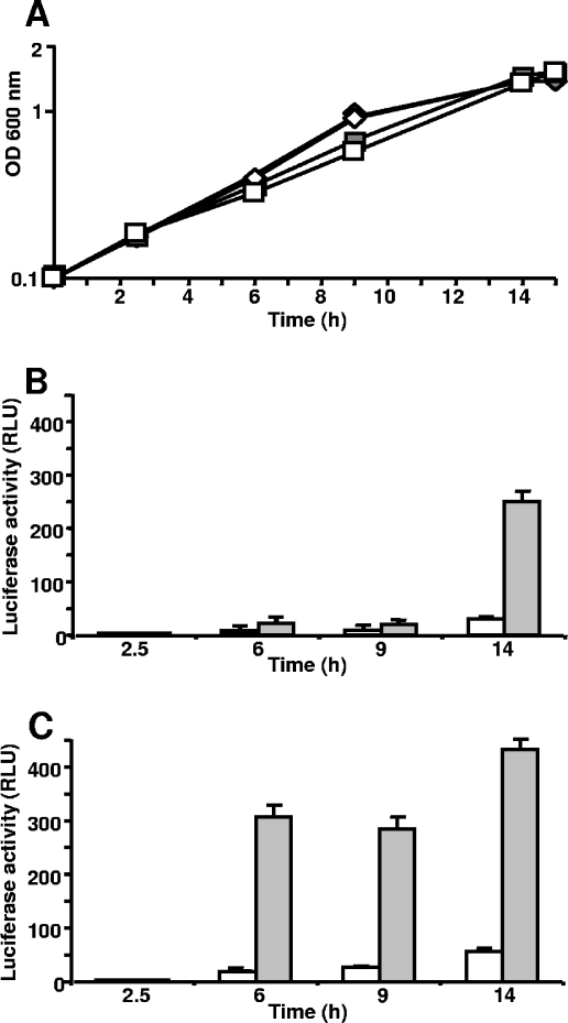 FIG. 2.