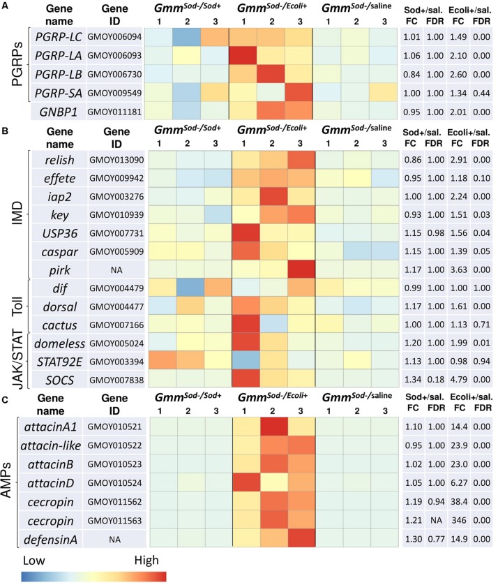 FIGURE 3