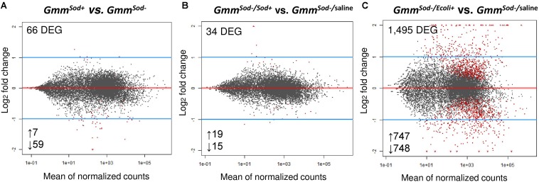 FIGURE 2