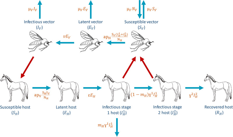 FIGURE 1