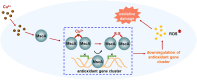 Graphical Abstract