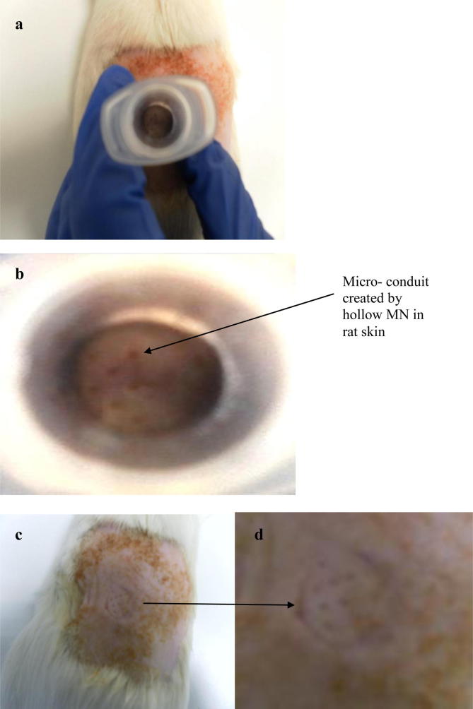 Fig. 8