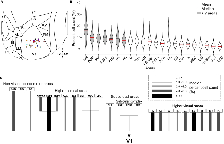 Figure 3