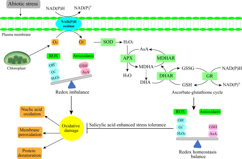 Figure 2