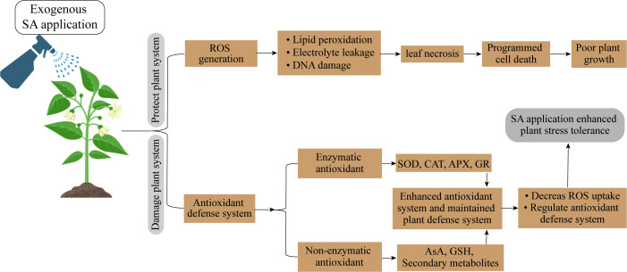 Figure 4