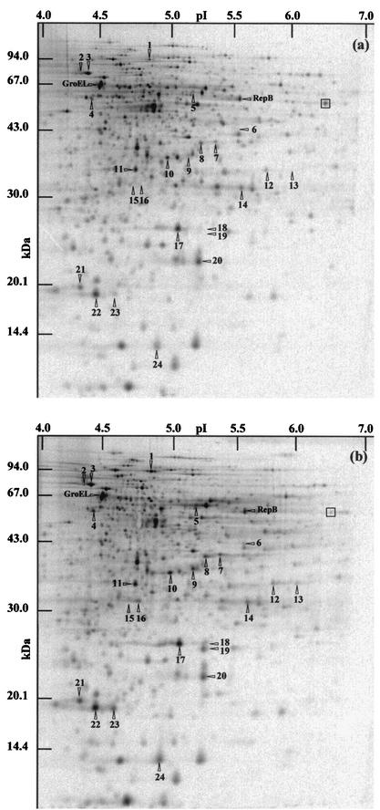 FIG.4.