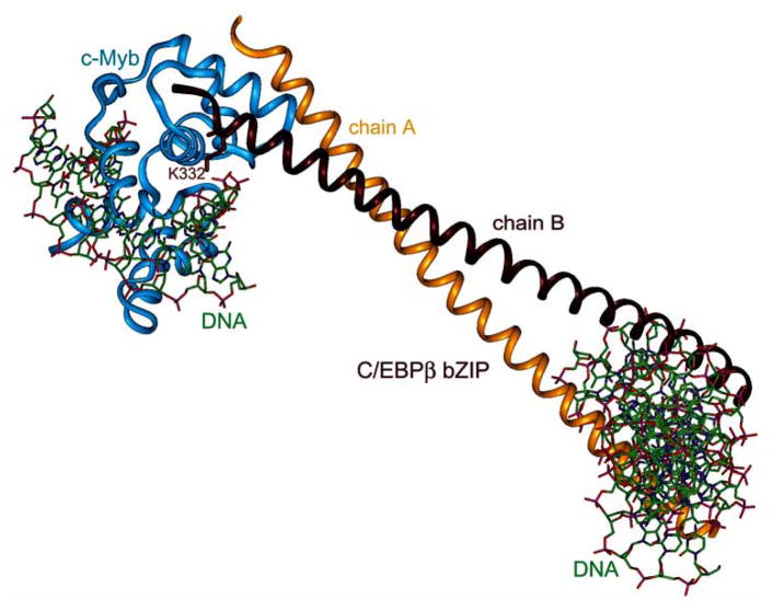 Fig. 10