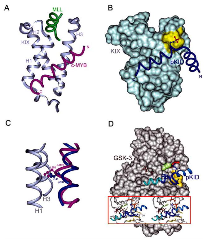 Fig. 8