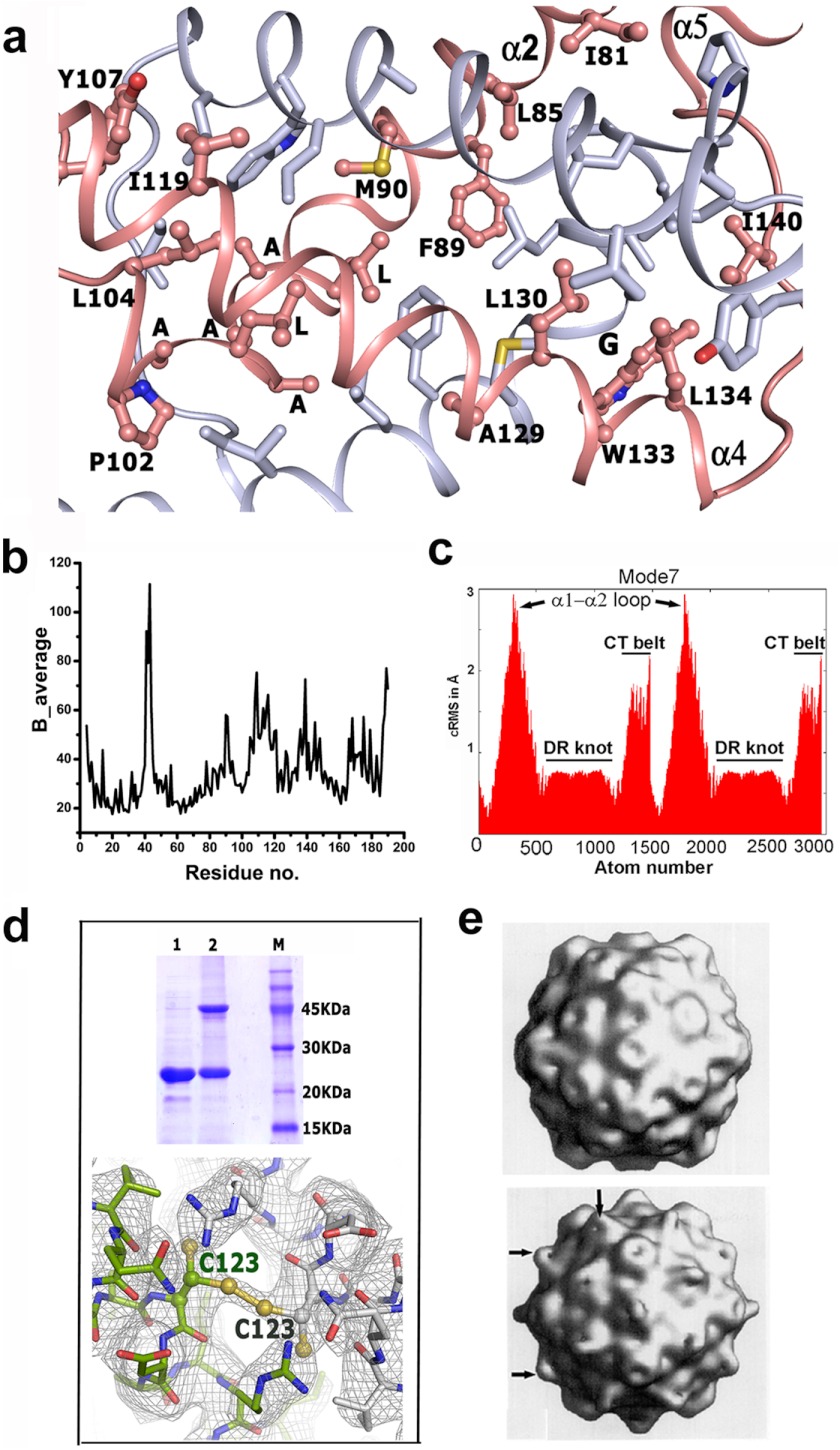 FIGURE 4.