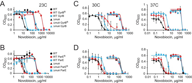 FIG 2