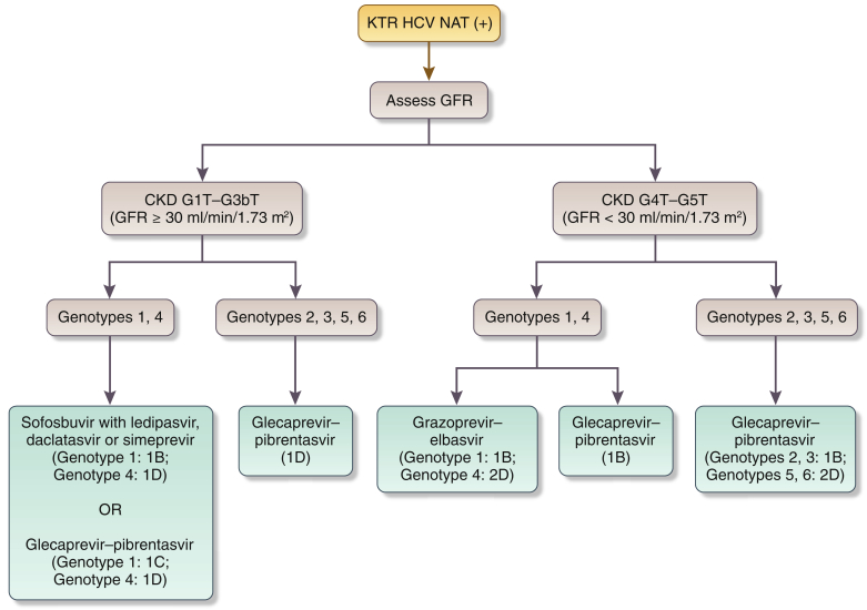 Algorithm 2