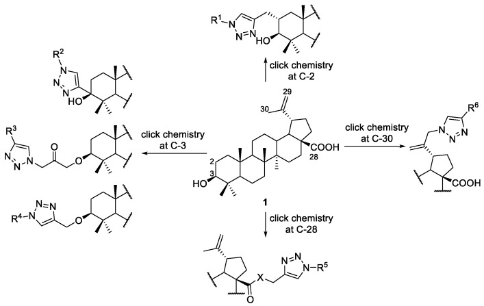 Scheme 18