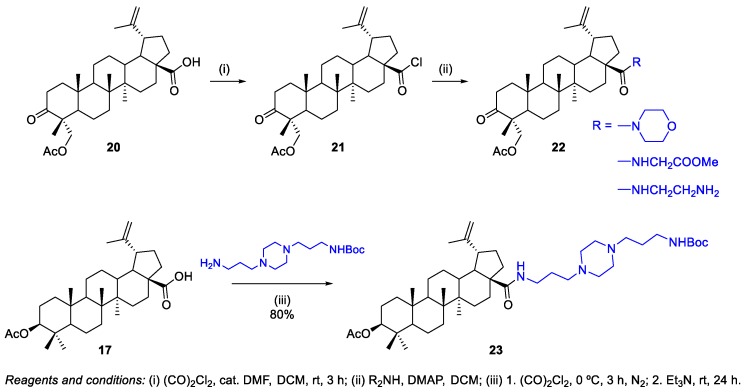 Scheme 5