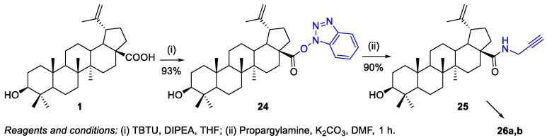 Scheme 6