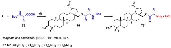 Scheme 12