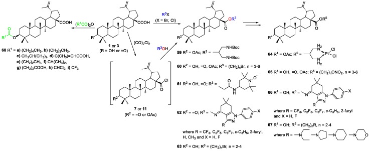 Scheme 11