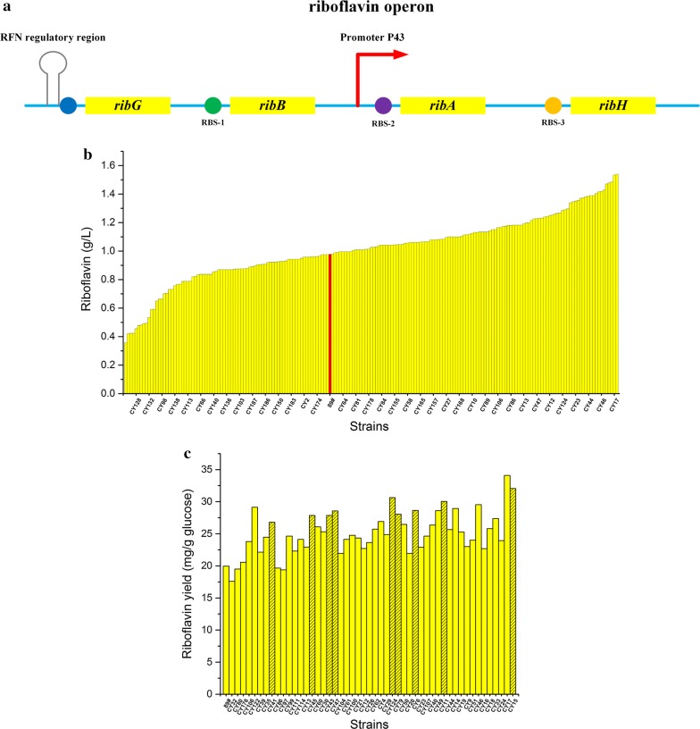 Fig. 7