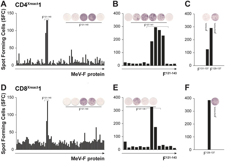 FIG 3