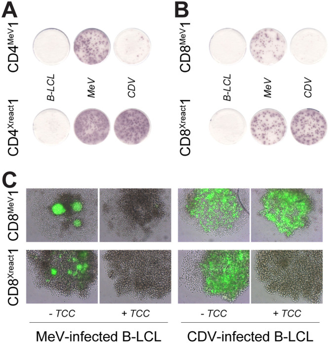 FIG 2