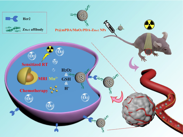 graphic file with name 12951_2021_885_Figa_HTML.jpg