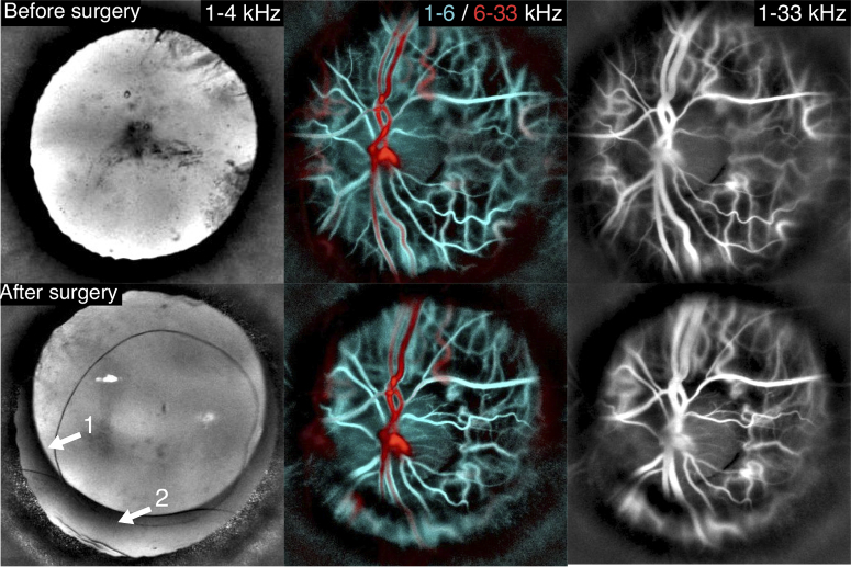 Fig. 6.