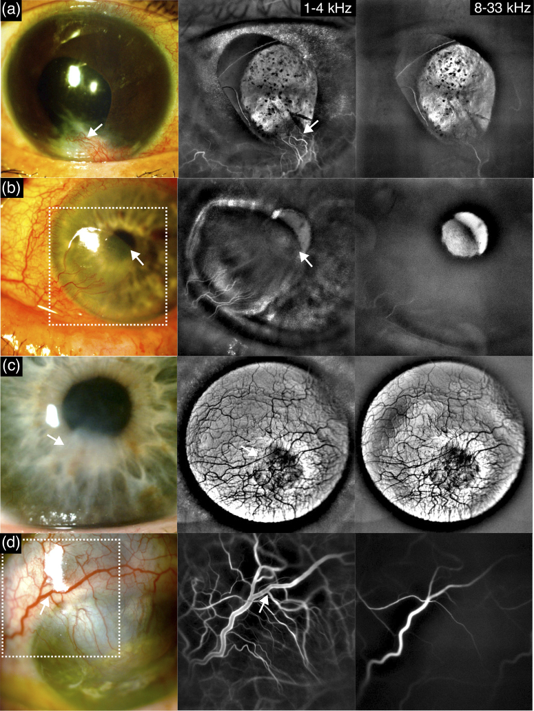 Fig. 7.