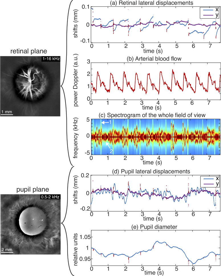 Fig. 4.