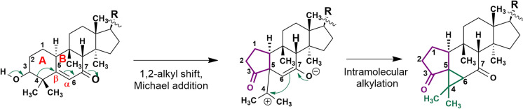 Fig. 9