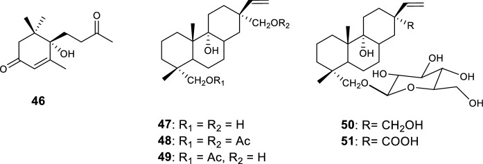 Fig. 11