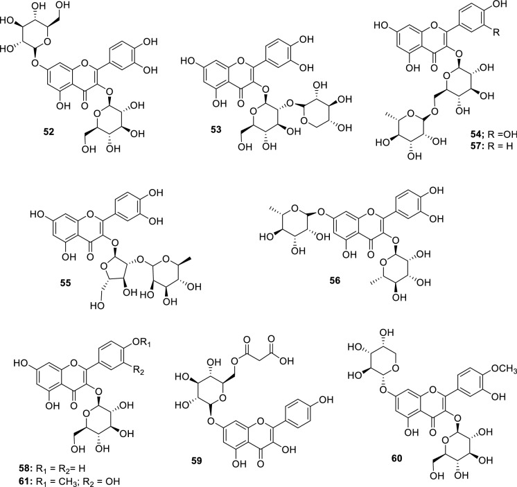 Fig. 12