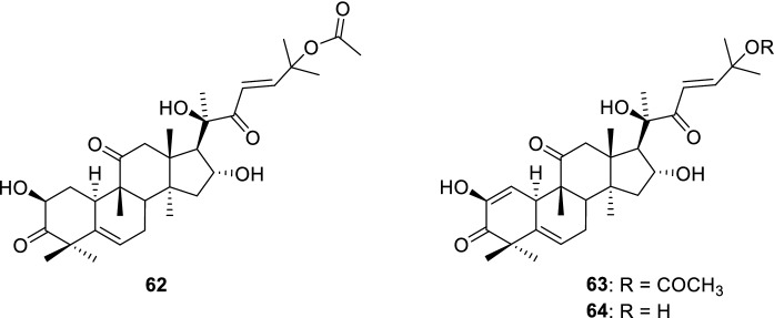 Fig. 14