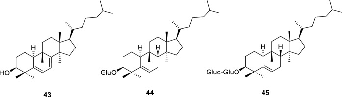 Fig. 10