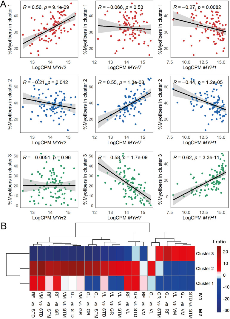 Figure 3—figure supplement 1.