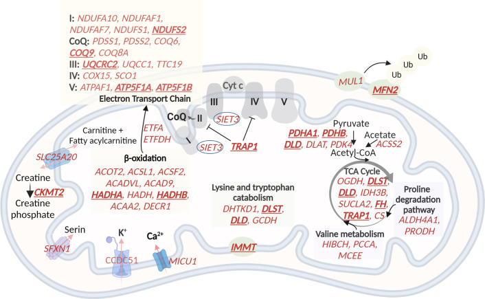 Figure 6.